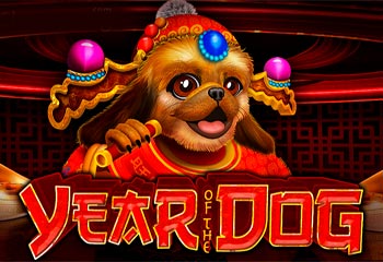 Year of the Dog